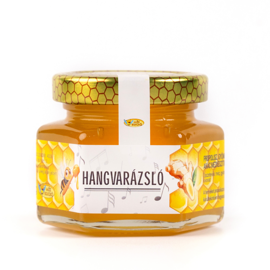 Hangvarázsló gyerekek